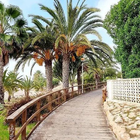Mirador First Line Santa Pola